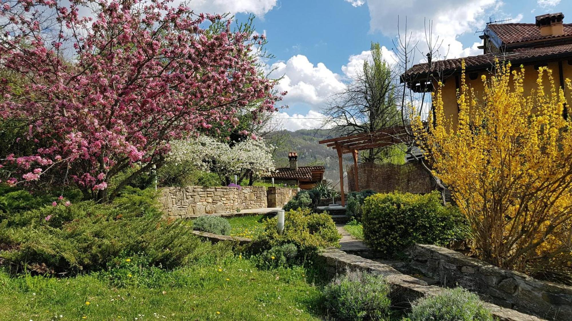 Agriturismo Fattoria Ca Di Sole San Benedetto Val di Sambro Buitenkant foto